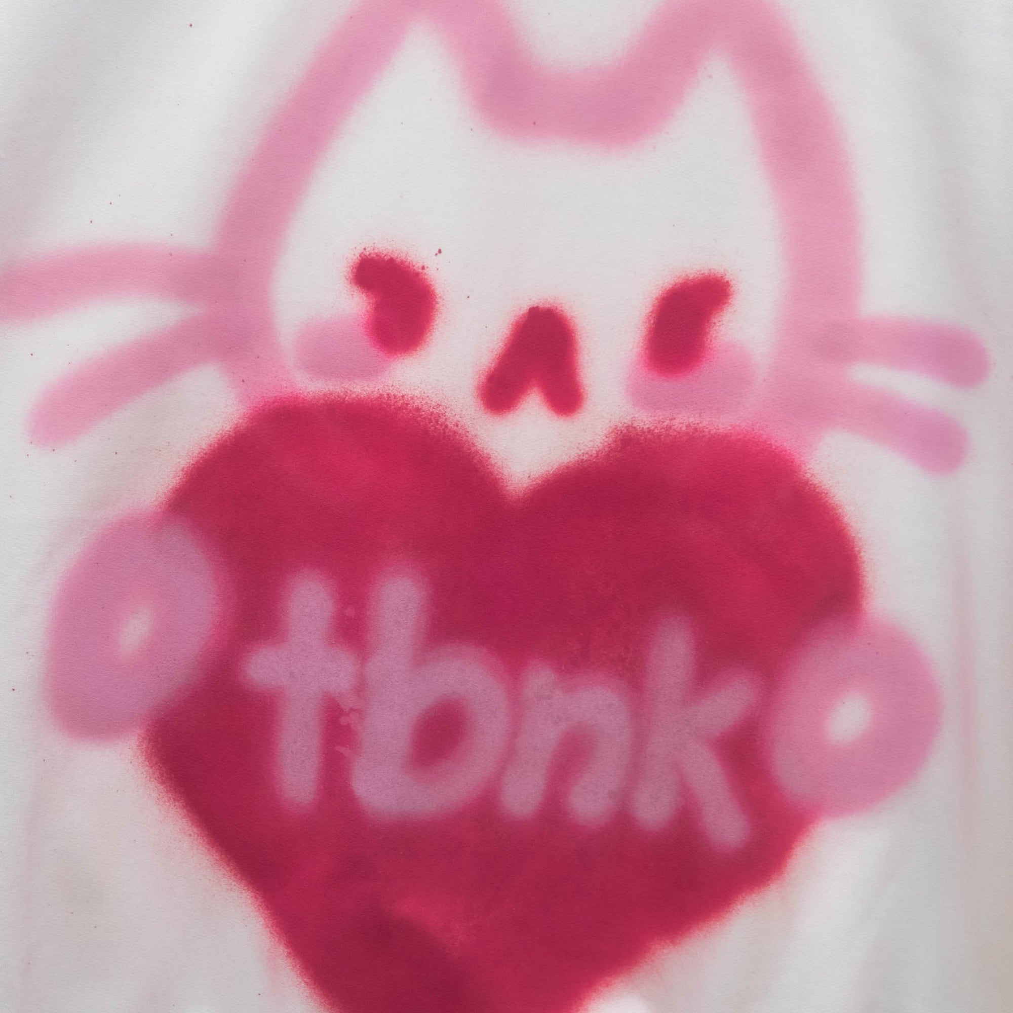 Chandail "Chat en tbnk" unique (XL)